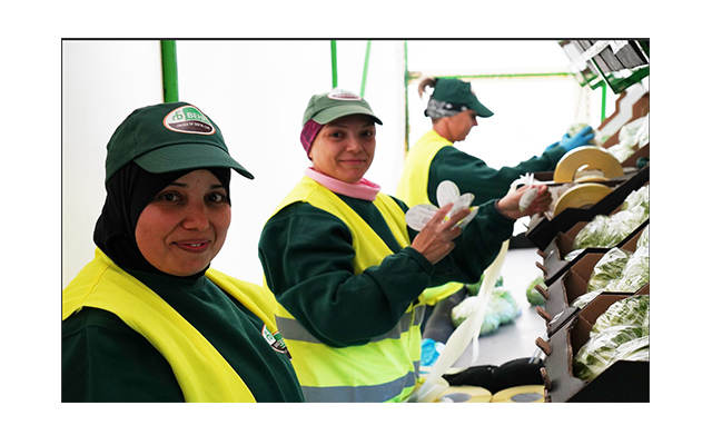 Día Mundial de la Seguridad y Salud en el trabajo