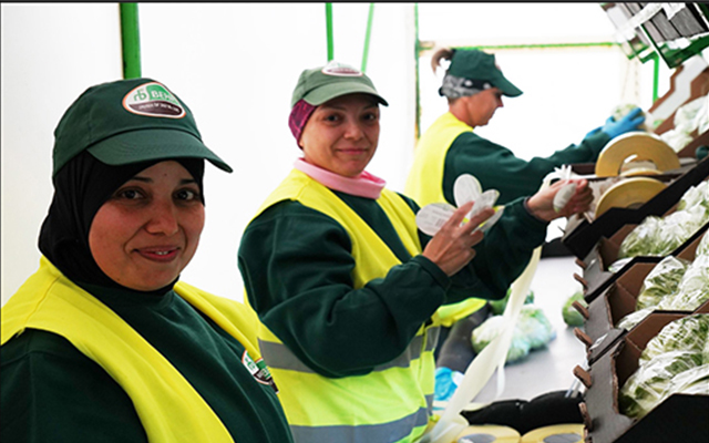 Día Mundial de la Seguridad y Salud en el trabajo