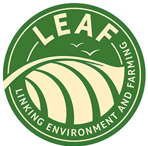 LEAF MARQUE HORTOSYSTEM